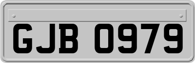 GJB0979