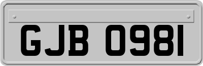 GJB0981