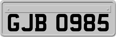GJB0985