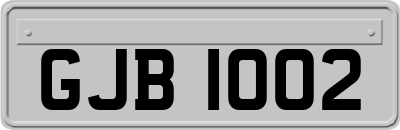 GJB1002