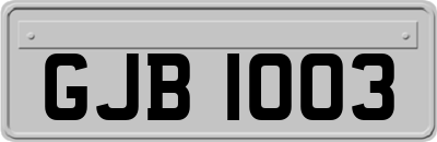 GJB1003