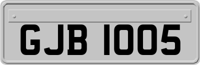 GJB1005