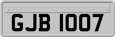 GJB1007