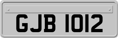 GJB1012