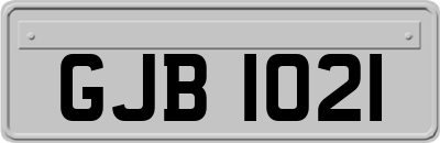 GJB1021