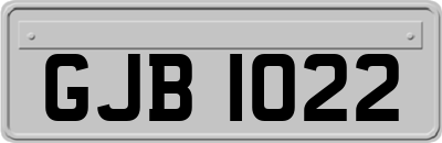 GJB1022