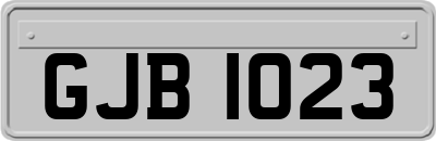 GJB1023