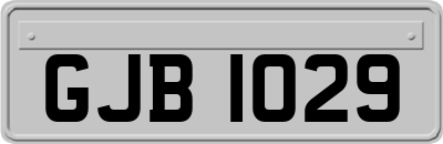 GJB1029