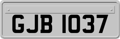 GJB1037
