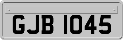 GJB1045