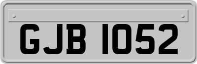 GJB1052