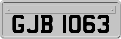 GJB1063