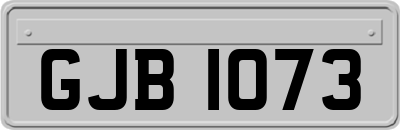 GJB1073