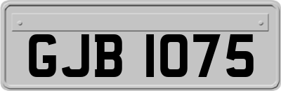 GJB1075