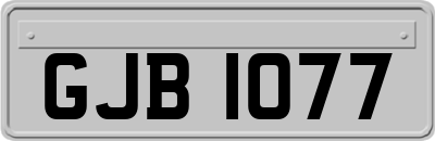 GJB1077