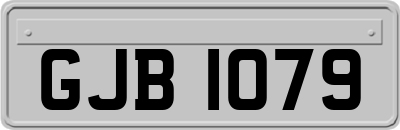 GJB1079