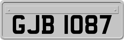 GJB1087