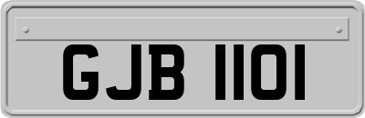 GJB1101