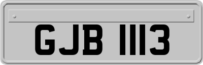 GJB1113