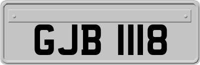 GJB1118