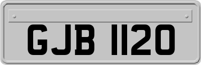 GJB1120
