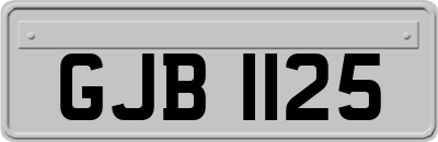 GJB1125