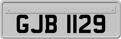 GJB1129
