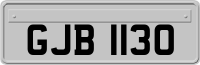 GJB1130