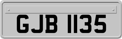GJB1135