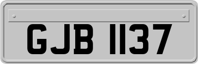 GJB1137