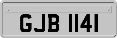 GJB1141