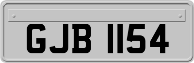 GJB1154