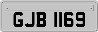 GJB1169