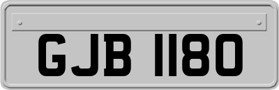 GJB1180