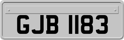 GJB1183
