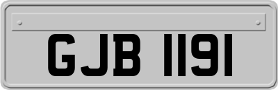 GJB1191
