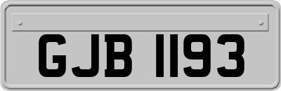 GJB1193