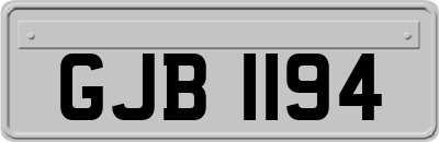 GJB1194