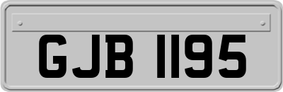 GJB1195