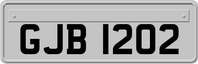 GJB1202