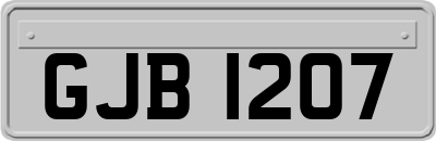 GJB1207