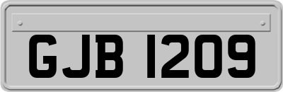 GJB1209