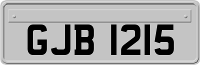 GJB1215