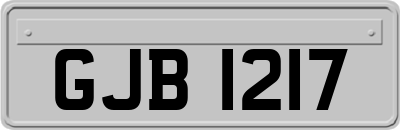 GJB1217