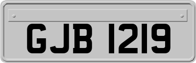 GJB1219