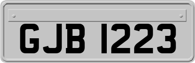 GJB1223