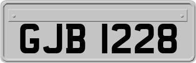 GJB1228
