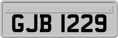GJB1229