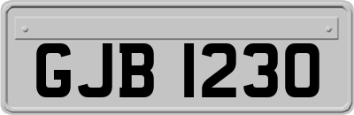 GJB1230