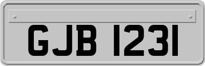 GJB1231